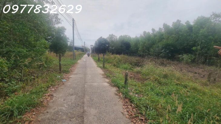 Chỉ 800 triệu sở hữu đất Hẻm Nguyễn Chí Thanh – Tân Bình – TX LaGi sổ riêng, full thổ cư Chỉ 800 triệu sở hữu đất Hẻm Nguyễn Chí Thanh – Tân Bình – TX LaGi sổ riêng, full thổ cư