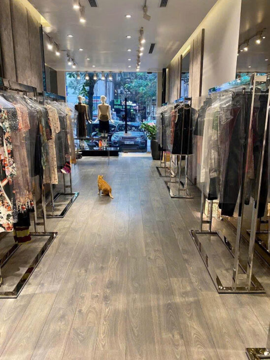 BÁN NHÀ MẶT PHỐ LÝ THƯỜNG HOÀN KIẾM 95M 6 TẦNG MẶT TIỀN 5M