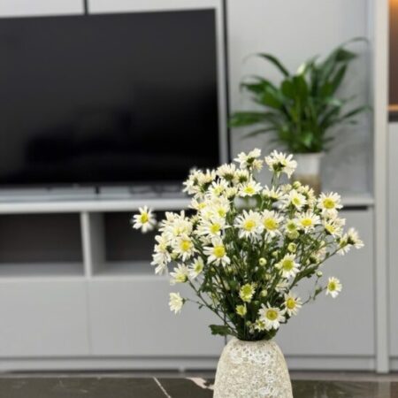 Cực phẩm nhà 5 tầng, 35m2 FULL nội thất xịn Phố Đại Từ, quận Hoàng Mai