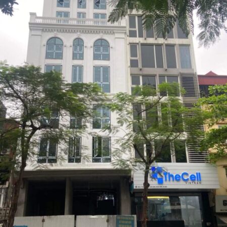 ⚜️ TÒA VP MẶT PHỐ TRẦN QUỐC TOẢN, HOÀN KIẾM, 250M2 11 TẦNG MT 6M, CHỈ 220 TỶ ⚜️