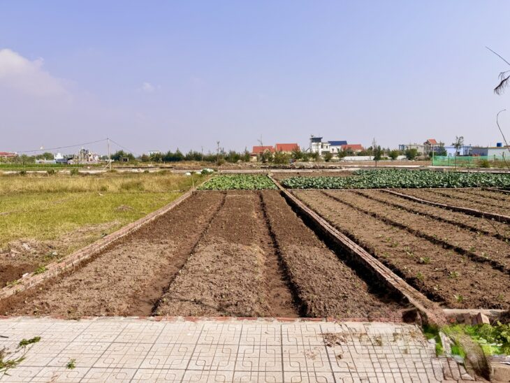 Chủ đầu tư mở bán 5 phân khu đất biển quất lâm giá chỉ từ 1 tỷ