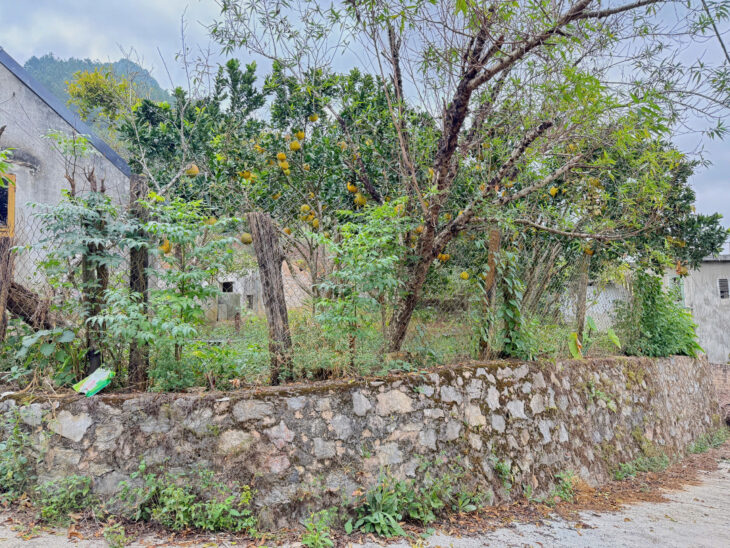 Đất nền trung tâm Thị Xã Mộc Châu vị trí đẹp, nhiều tiện ích xung quanh, giá cắt lỗ do chủ ngộp