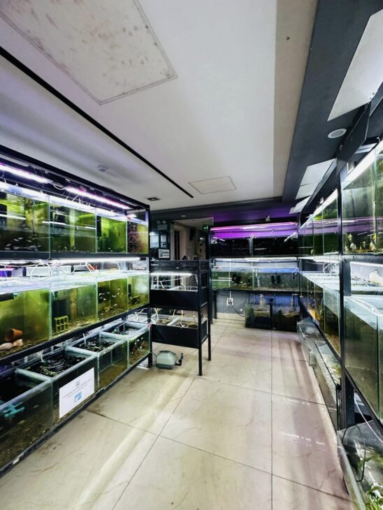 ⚜️ TÒA VĂN PHÒNG 9T MẶT PHỐ QUAN HOA, CẦU GIẤY 105M2 MT 5.5M, CHỈ 59 TỶ ⚜️