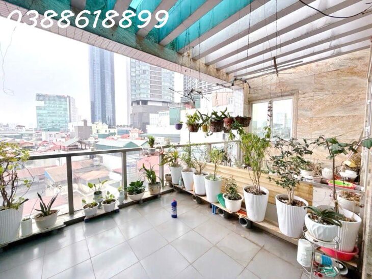 BIỆT THỰ SÂN VƯỜN CẦU GIẤY, 146/150M, MT 10M, THANG MÁY, GARA Ô TÔ, 43.7 TỶ