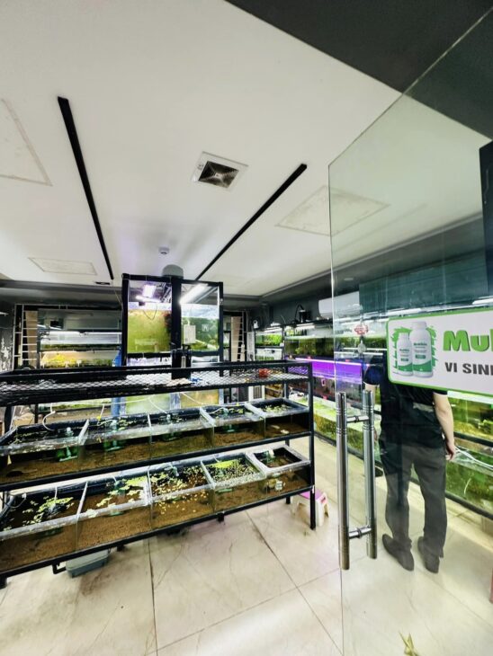 ⚜️ TÒA VĂN PHÒNG 9T MẶT PHỐ QUAN HOA, CẦU GIẤY 105M2 MT 5.5M, CHỈ 59 TỶ ⚜️