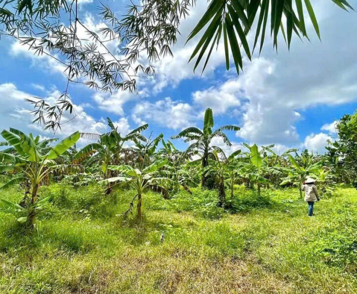 BÁN ĐẤT CHÍNH CHỦ – VIEW HỒ TRỊ AN- LA NGÀ- ĐỊNH QUÁN- ĐỒNG NAI