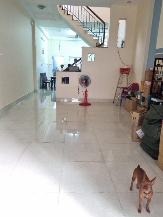 Bán nhà Quận 8- 110m2-4.5mx24m – Hẻm 6m – LH Quyền 0399833339 – nhỉnh 8 tỷ
