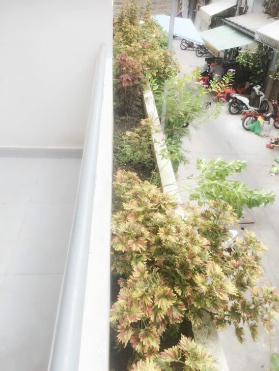 Bán Nhà Hẻm Tiền Nguyễn Trãi, P7, Q5, 5.9×8.4m – Chỉ 14 Tỷ