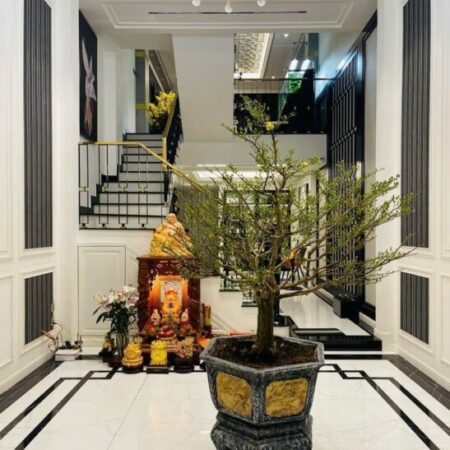 Cơ Hội Đầu Tư: Nhà Hẻm Đường Nguyễn Trãi, P7, Q5, 4x15m, Chỉ 11.5 Tỷ Cơ Hội Đầu Tư: Nhà Hẻm Đường Nguyễn Trãi, P7, Q5, 4x15m, Chỉ 11.5 Tỷ