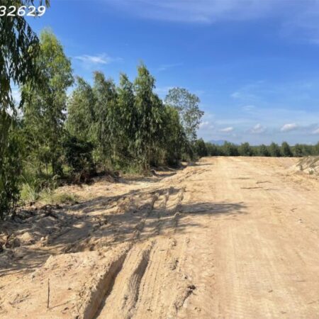 Bán gấp 6.8 sào đất Tân Xuân – Hàm Tân chỉ 1.2 tỷ đường xe hơi sổ riêng Bán gấp 6.8 sào đất Tân Xuân – Hàm Tân chỉ 1.2 tỷ đường xe hơi sổ riêng