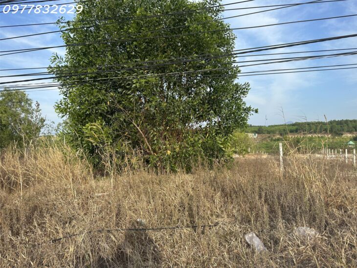 HẠ GIÁ 40% 5800m2 đất ONT Đường Nguyễn Chí Thanh – TX LaGi chỉ 400tr/m ngang gần UBND