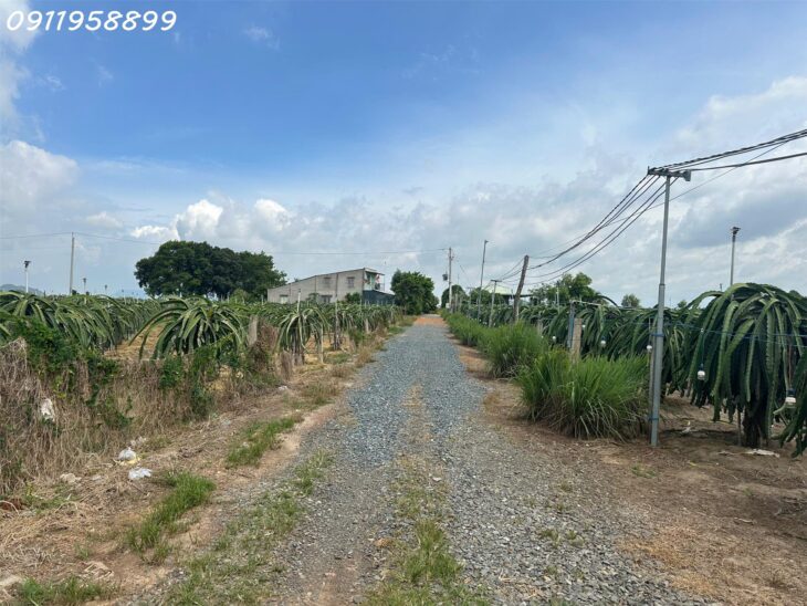 NGỘP BANK! GIẢM 60% 1.9 mẫu đất phủ hồng Tân Tiến – TX LaGi gần Biển Tam Tân