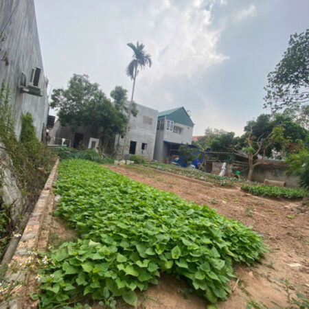 QUÁ ĐẸP, ĐẤT HIỀN NINH, SÓC SƠN. 80M, MT5,5M. FULL THỔ CƯ. ĐƯỜNG 4M. GIÁ 2,16 TỶ CÓ THƯƠNG LƯỢNG