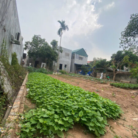 BÁN ĐẤT HIỀN NINH, SÓC SƠN. 80M2, MT 5,5M. ĐƯỜNG THÔNG Ô TÔ TẢI. GIÁ 2,16 TỶ CÓ THƯƠNG LƯỢNG