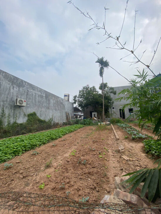 BÁN GÁP 80M ĐẤT HIỀN NINH, SÓC SƠN. FULL THỔ CƯ. GIÁ ĐẦU TƯ SINH LỜI NGAY KHI CỌC.