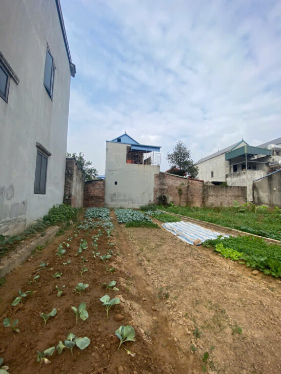 ĐẤT 95M2 ĐẤT TẠI HƯƠNG ĐÌNH ĐÔNG, MAI ĐÌNH, SÓC SƠN. FULL THỔ CƯ. GIÁ 2,65 TỶ.