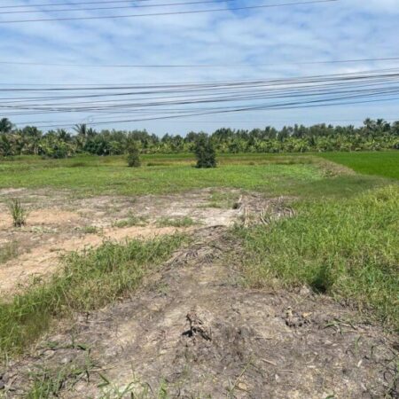 Cần bán đất nền tại ấp 10, xã Thuận Hưng, huyện Long Mỹ, tỉnh Hậu Giang (kế bên cầu Ba Phát). Giá: