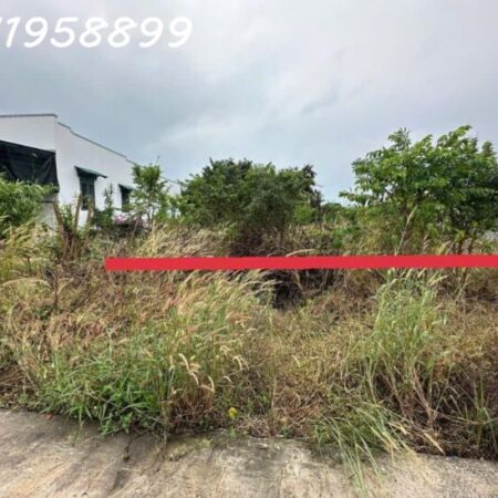 Cần bán 20m x 30m đất Thổ cư Lô 2 Lê Thánh Tôn, Tân Hải, thị xã LaGi giá ngộp