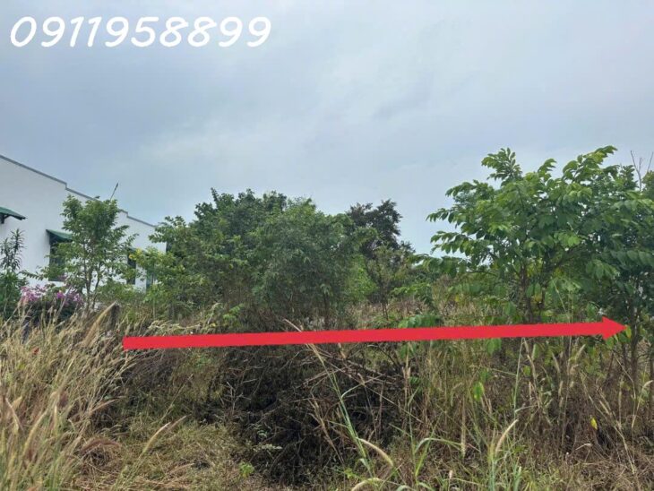 Cần bán 20m x 30m đất Thổ cư Lô 2 Lê Thánh Tôn, Tân Hải, thị xã LaGi giá ngộp