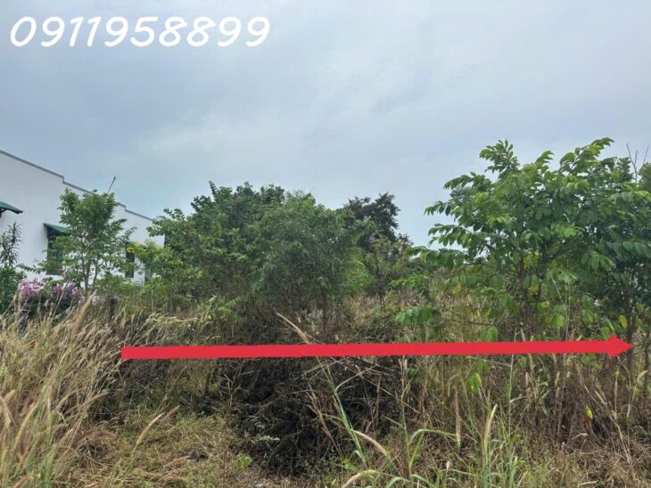 Cần bán 20m x 30m đất Thổ cư Lô 2 Lê Thánh Tôn, Tân Hải, thị xã LaGi giá ngộp