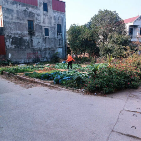 CẦN BÁN NHANH 54M ĐẤT NAM CƯƠNG, HIỀN NINH, SÓC SƠN, HÀ NỘI. CẦN BÁN NHANH 54M ĐẤT NAM CƯƠNG, HIỀN NINH, SÓC SƠN, HÀ NỘI.