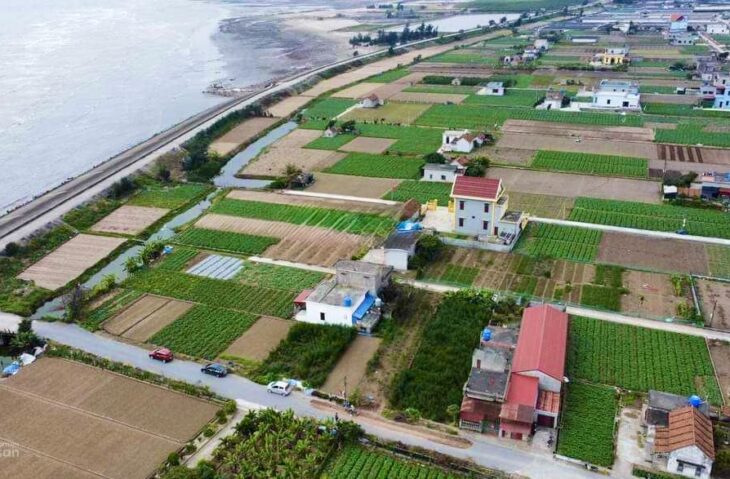 Chủ đầu tư mở bán 5 phân khu đất biển quất lâm giá chỉ từ 1 tỷ