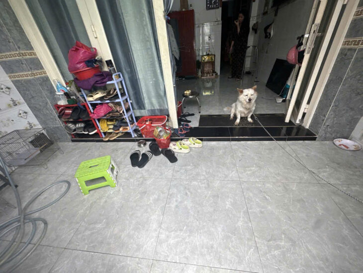 BÁN NHÀ SHR – HOÀN CÔNG, HUỲNH TẤN PHÁT, PHÚ THUẬN, QUẬN 7. 49m2