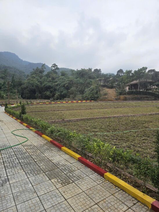Bán đất đẹp du lịch nghỉ dưỡng Đồng Vỡ, Phú Mãn giá rẻ 468m nhỉnh 6 tỷ