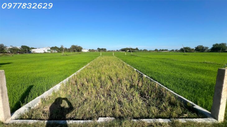 Đất thổ cư Phước Hội – TX LaGi chỉ 850 triệu full thổ cư sổ riêng Đất thổ cư Phước Hội – TX LaGi chỉ 850 triệu full thổ cư sổ riêng
