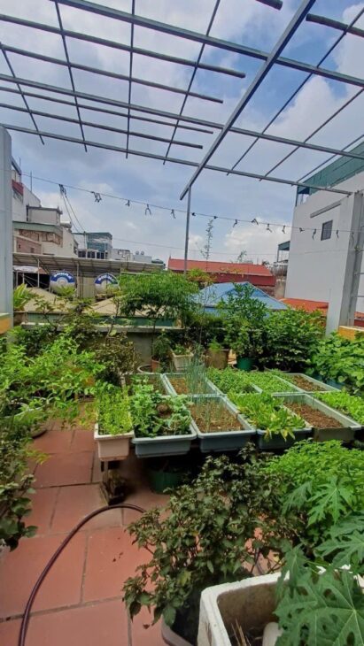 Bán Nhà Đất Hoàng Mai, Chính Chủ Có Sổ Đỏ, Giá Rẻ