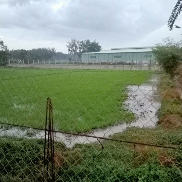 CHÍNH CHỦ CẦN BÁN GẤP MẢNH ĐÁT Ở LỘC AN, LỘC HƯNG,TRẢNG BÀNG, TÂY NINH, DT 2938,5M2, GIÁ