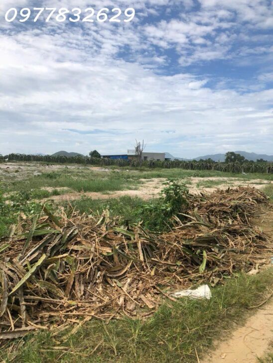 Bán 3 sào đất Tân Hải – TX LaGi giá ngộp chỉ 1.8 tỷ