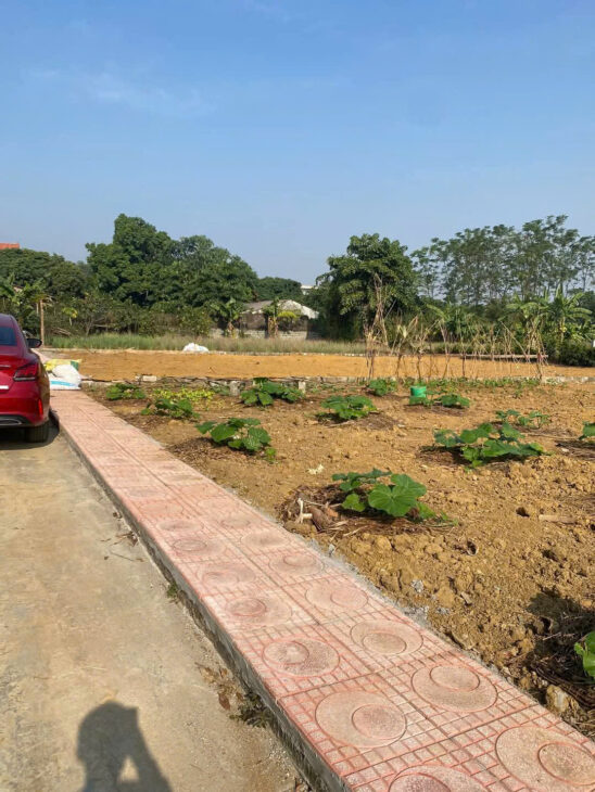 Tuyển người yêu cho nàng hậu tại Hoà Thạch , Quốc Oai . GIá chỉ vài triệu/m2 DT 382m .Xem là u mê