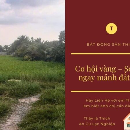 Đất Vàng Hậu Nghĩa – Liền Kề Khu Đô Thị Vingroup, Giá Đầu Tư Cực Tốt!