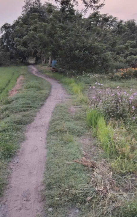 SỞ HỮU NHÀ ĐẤT ĐẸP – GIÁ Tốt – Vị Trí Tại : Bình Hòa Bắc – Đức Huệ – Long An