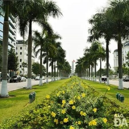 GIÁ MỚI CHỈ 6.5 TỶ – TRUNG TÂM NÚI THÀNH NHÀ 2 TẦNG ĐẤT 130M2 – HẢI CHÂU GIÁ MỚI CHỈ 6.5 TỶ – TRUNG TÂM NÚI THÀNH NHÀ 2 TẦNG ĐẤT 130M2 – HẢI CHÂU