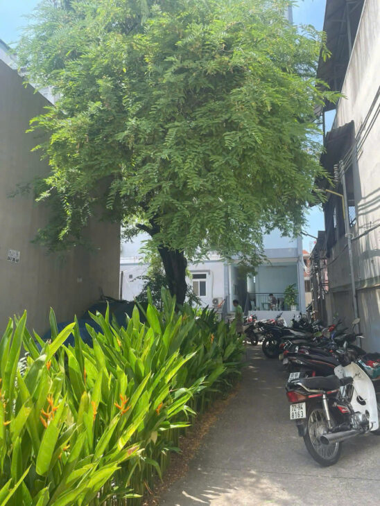 Bán dãy trọ mặt tiền đường Dương Đình Hội, Phường Tăng Nhơn Phú B Quận 9