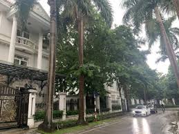 Bán gấp biệt thự khu D Ciputra 276m2 nhà căn góc