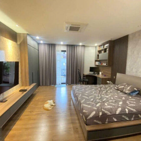 Bán nhà phân lô Huỳnh Thúc Kháng 45m2, 5T, MT6m ô tô thông rất hiếm Đống Đa