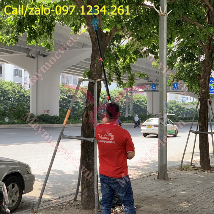 Máy cắt cành cao chạy pin Vinmax giá rẻ