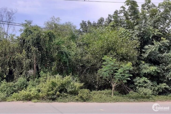 64 HECTA – HÀNG HIẾM LONG BÌNH THỦ ĐỨC CẦN BÁN