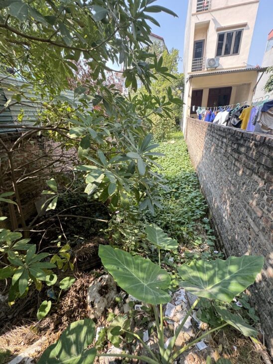 73M ĐẤT ĐƯỜNG NHỰA Ô TÔ – MẶT TIỀN RỘNG – ĐẦU TƯ, KINH DOANH, CHUNG CƯ MINI