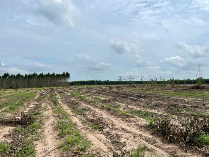 GIẢM KỊCH SẢN! Chỉ 450 triệu có 1000m2 đất Tân Bình – TX LaGi 2 mặt đường xe hơi sổ riêng