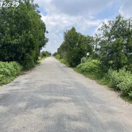 Bán đất ONT Đường Lê Văn Duyệt – TX LaGi chỉ 180tr/m ngang sát KDL Sinh thái Bán đất ONT Đường Lê Văn Duyệt – TX LaGi chỉ 180tr/m ngang sát KDL Sinh thái