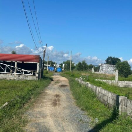 Bán đất thổ cư 2 mặt đường Tân Bình – TX LaGi đại hạ giá Bán đất thổ cư 2 mặt đường Tân Bình – TX LaGi đại hạ giá