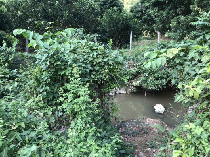 CỰC HÓT – CHÍNH CHỦ CHO THUÊ LÔ ĐẤT HƠN 2000M2 Ở YÊN THỦY, HÒA BÌNH – GIÁ THUÊ SIÊU RẺ