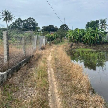 Bán gấp 2.8 sào đất ONT Tân An – TX LaGi giá ngộp View Sông Dinh Bán gấp 2.8 sào đất ONT Tân An – TX LaGi giá ngộp View Sông Dinh