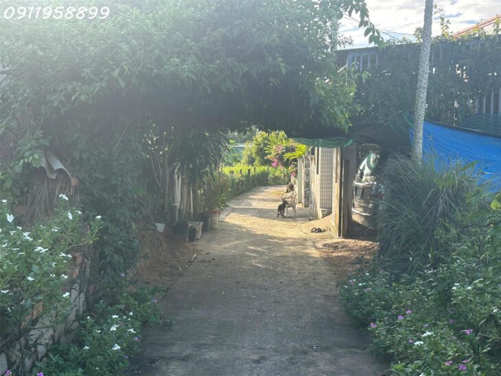Chỉ 650 triệu cho lô đất 183m2 thổ cư Tân Bình, thị xã LaGi đường xe hơi, sổ riêng