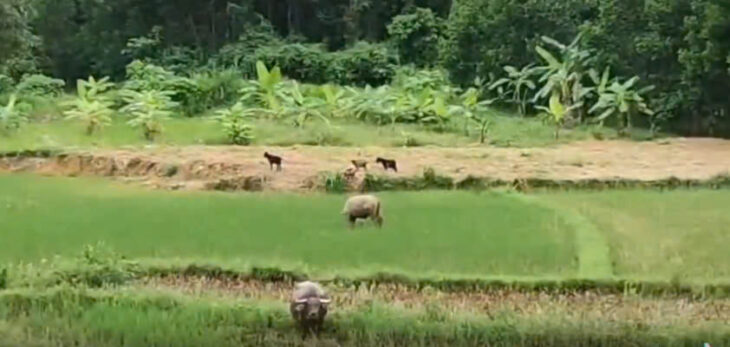 BÁN LÔ ĐẤT VIEW ĐỒI NÚI TUYỆT ĐẸP – GẦN KHU DU LỊCH ĐẬP TRÀN, PHÚ LỘC, TP HUẾ