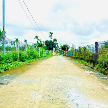 BÁN ĐẤT GIÁ RẺ – ĐIỆN HỒNG, ĐIỆN BÀN, QUẢNG NAM